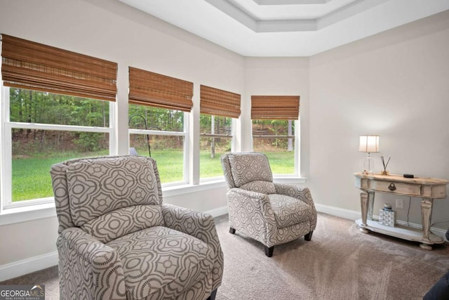 living area with carpet floors and baseboards