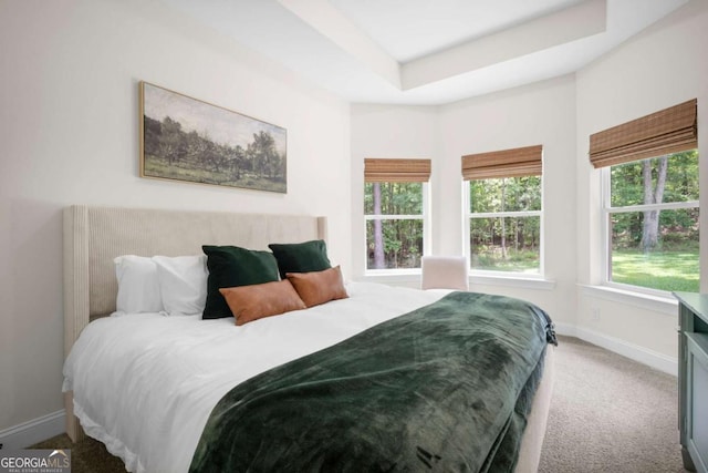 carpeted bedroom featuring baseboards and a tray ceiling