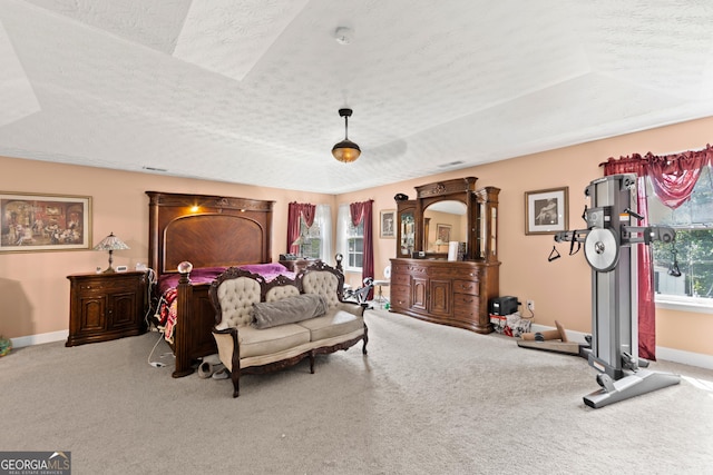 35 Timber Ln, Newnan, GA 30265 - bedroom with a raised ceiling, carpet floors, multiple windows, and a textured ceiling