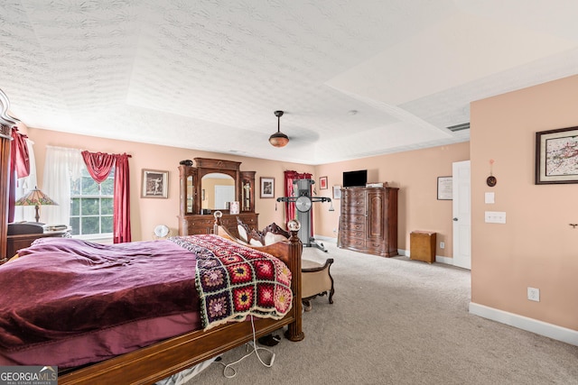 35 Timber Ln, Newnan, GA 30265 - bedroom featuring a raised ceiling, carpet floors, and a textured ceiling