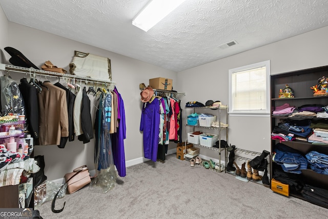 35 Timber Ln, Newnan, GA 30265 - spacious closet with carpet flooring