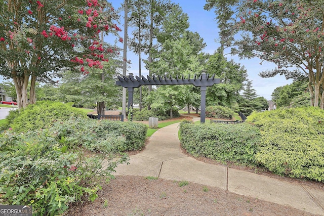 35 Timber Ln, Newnan, GA 30265 - view of home's community with a pergola
