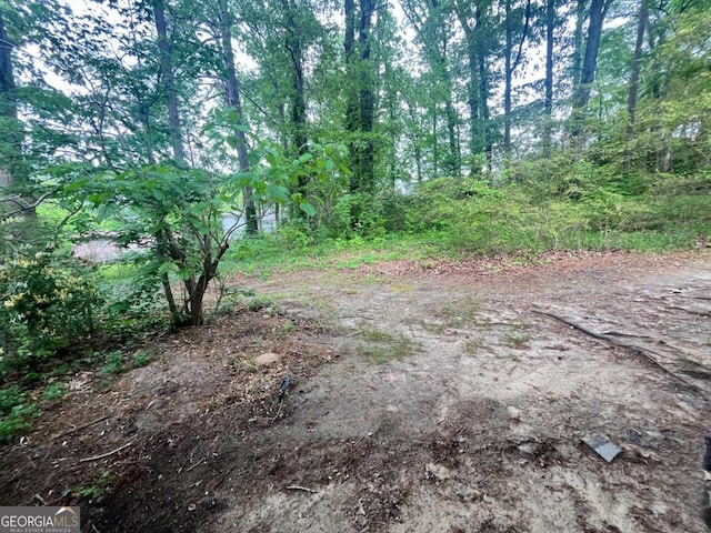 1263 Shoreham Dr, Atlanta, GA 30349 - view of local wilderness