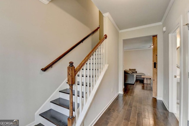 6468 Pierless Ave, Sugar Hill, GA 30518 - stairway featuring ceiling fan, baseboards, ornamental molding, and wood finished floors