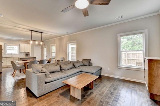6468 Pierless Ave, Sugar Hill, GA 30518 - living room with dark wood-style floors, a ceiling fan, visible vents, and ornamental molding
