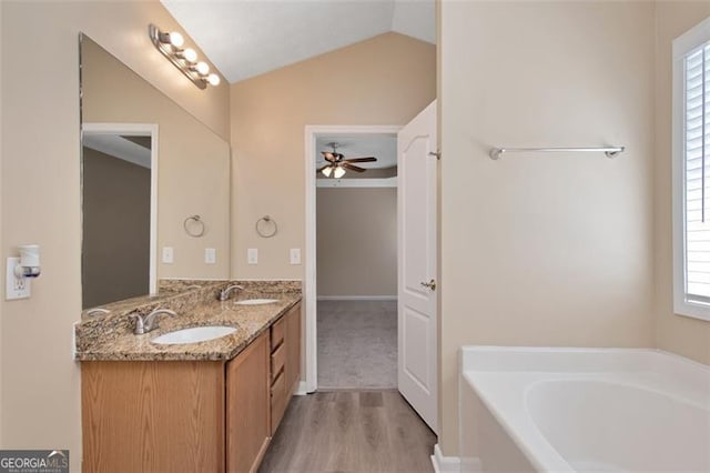 145 Tara Way, Covington, GA 30016 - bathroom with double vanity, a garden tub, wood finished floors, plenty of natural light, and lofted ceiling