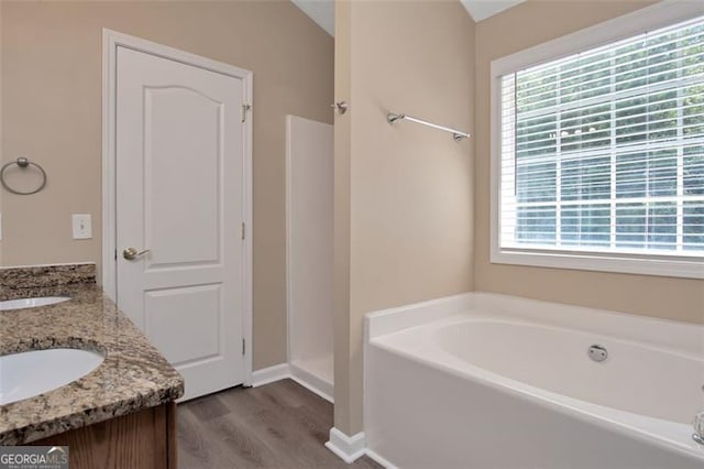 145 Tara Way, Covington, GA 30016 - bathroom with healthy amount of natural light, wood finished floors, a garden tub, and double vanity