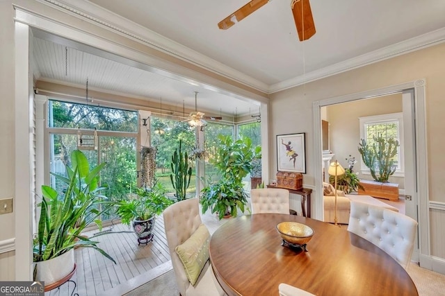 dining room with plenty of natural light, ceiling fan, and ornamental molding