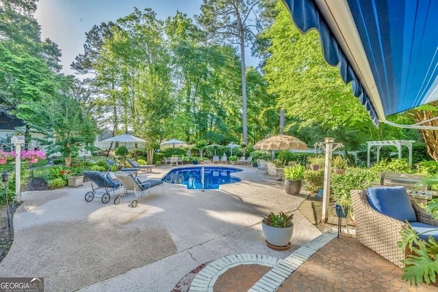 outdoor pool with a patio