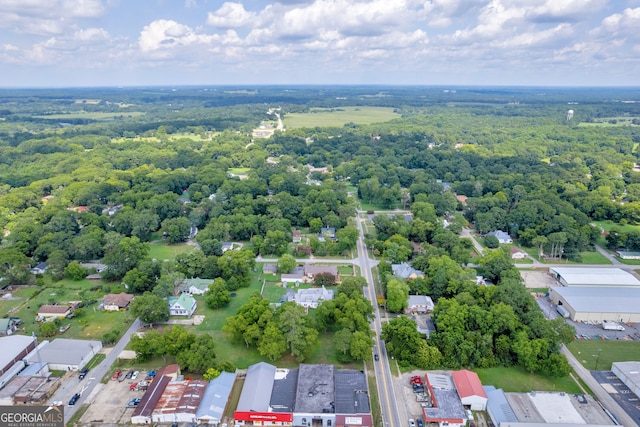 157 Hartwell St, Royston, GA 30662 - drone / aerial view
