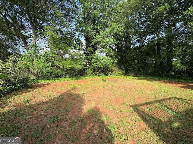 1231 Providence Way, Lawrenceville, GA 30046 - view of yard