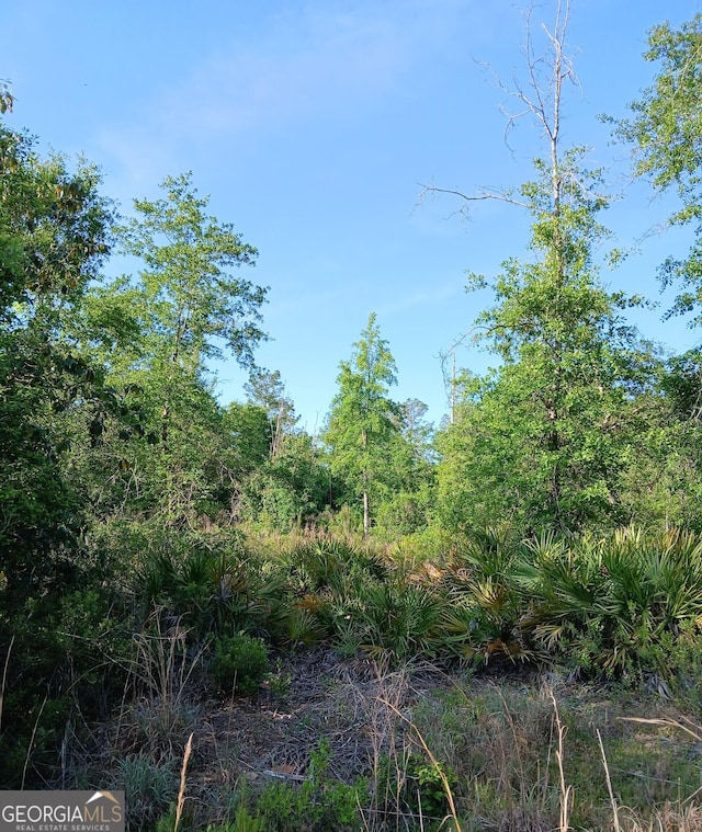 0 Old Traders Hill Rd Unit 2.84Acre, Parcel Lot, Folkston, GA 31537