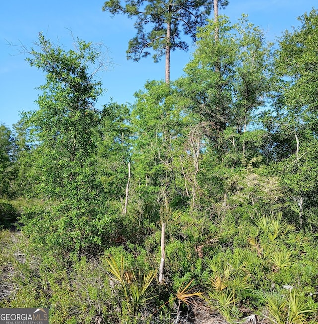 0 Old Traders Hill Rd Unit 2.84Acre, Parcel Lot, Folkston, GA 31537