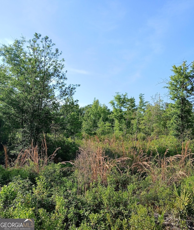 0 Old Traders Hill Rd Unit 2.84Acre, Parcel Lot, Folkston, GA 31537