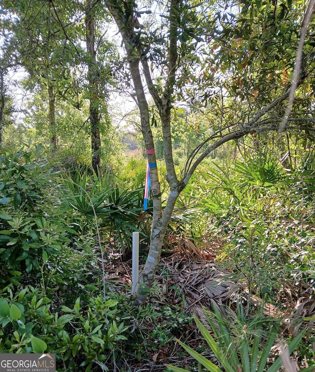 0 Old Traders Hill Rd Unit 2.84Acre, Parcel Lot, Folkston, GA 31537
