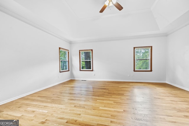 empty room featuring a tray ceiling, a healthy amount of sunlight, and light wood-style floors