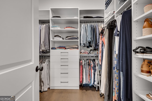 walk in closet featuring wood finished floors