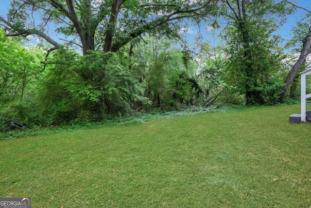 3223 Cleveland Hwy, Gainesville, GA 30506 - view of green lawn