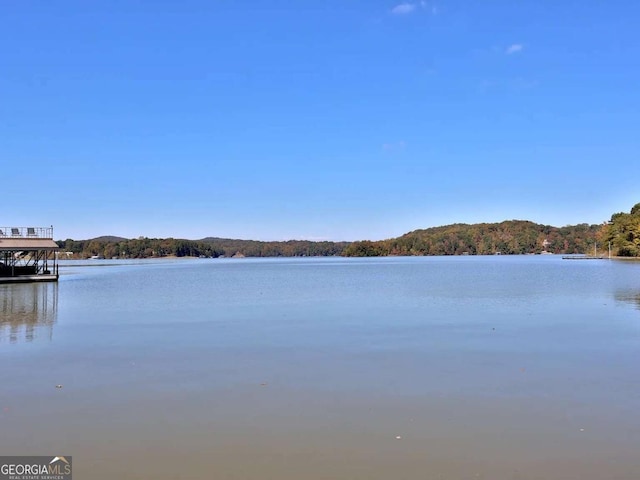 3223 Cleveland Hwy, Gainesville, GA 30506 - water view featuring a forest