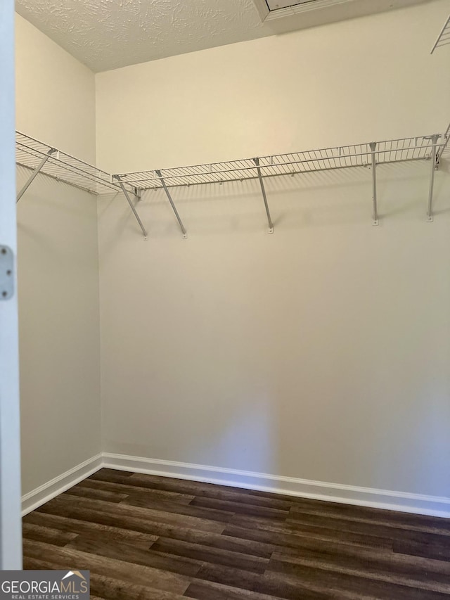 spacious closet featuring dark wood-style floors