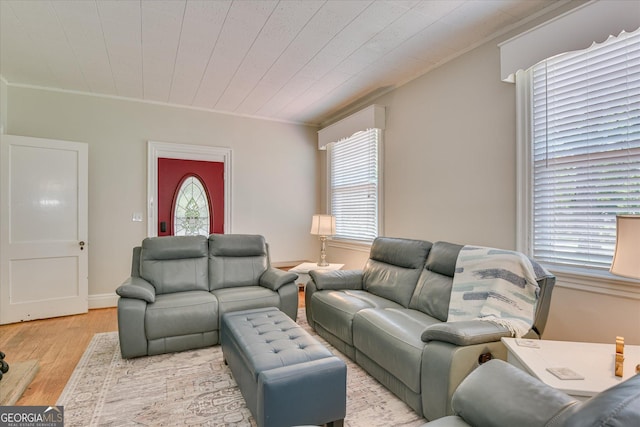 2327 Redwood Dr, Augusta, GA 30904 - living area with ornamental molding and light wood finished floors