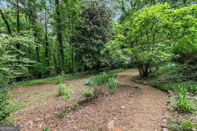 35 Saddle Mountain Rd SE, Rome, GA 30161 - aerial view
