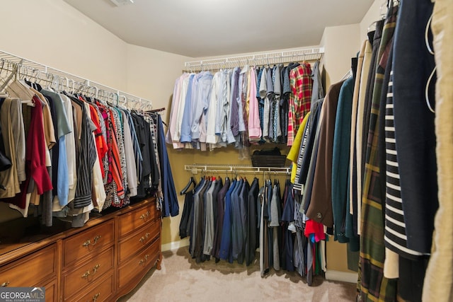 spacious closet with light carpet