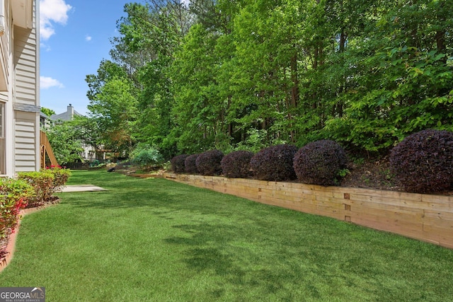 view of green lawn