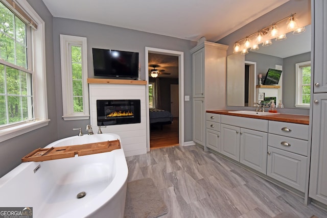 ensuite bathroom featuring vanity, connected bathroom, a freestanding tub, and a healthy amount of sunlight