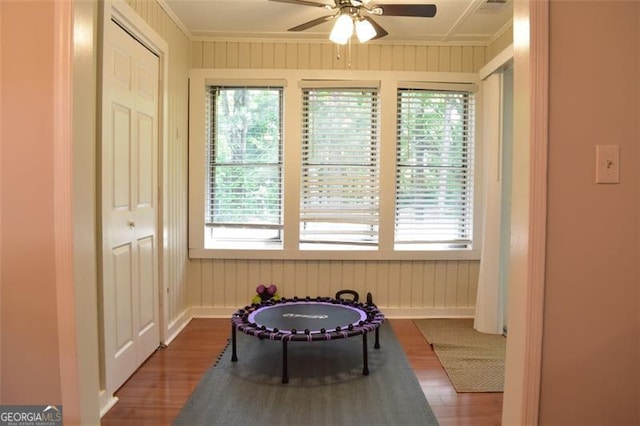 recreation room featuring a ceiling fan, a wealth of natural light, and wood finished floors