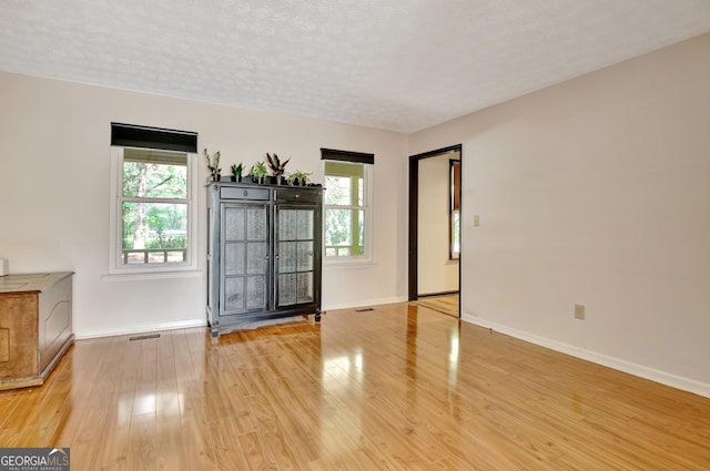 spare room with a textured ceiling, baseboards, a healthy amount of sunlight, and light wood-style flooring