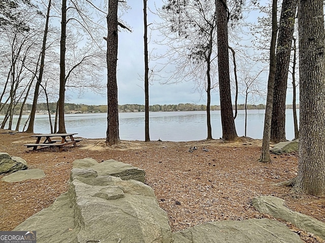 property view of water