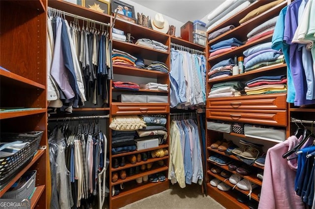 walk in closet featuring carpet flooring