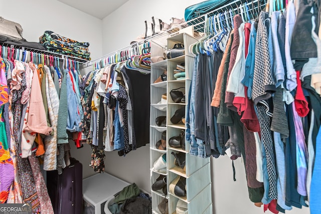 view of spacious closet