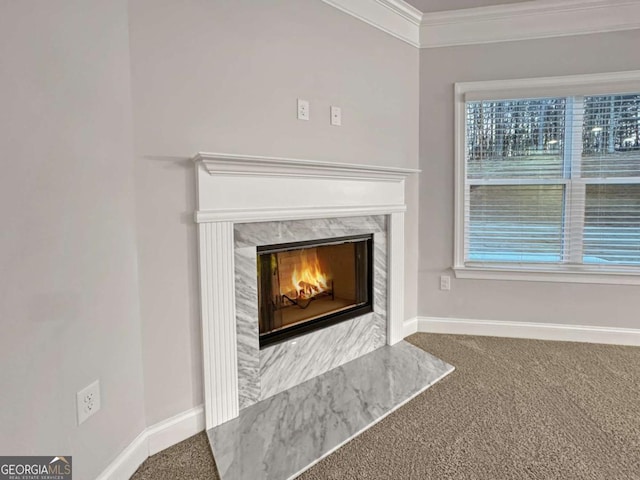5291 Tuscany Dr, Douglasville, GA 30135 - interior details featuring crown molding, carpet, baseboards, and a fireplace