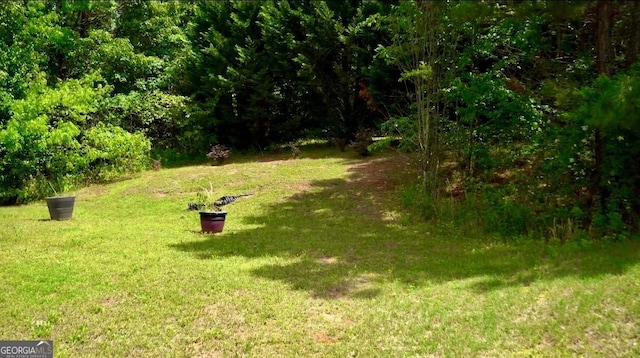 584 Amaranth Trl, Hoschton, GA 30548 - view of green lawn