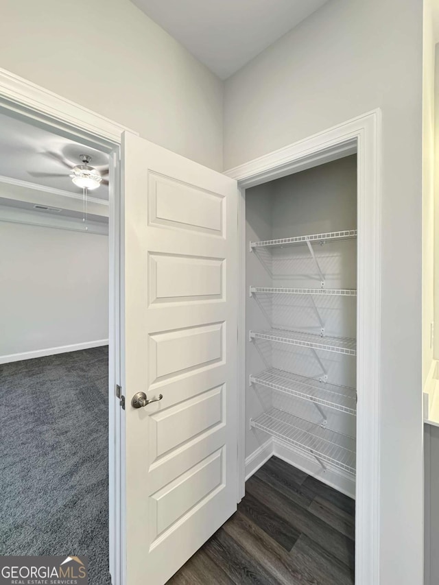 5331 Tuscany Dr, Douglasville, GA 30135 - view of closet