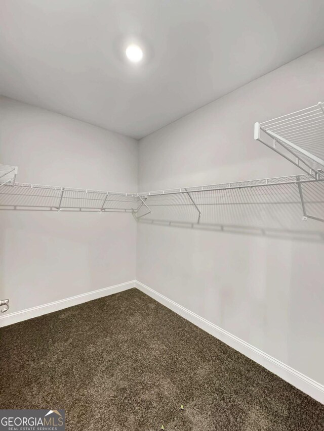 5331 Tuscany Dr, Douglasville, GA 30135 - spacious closet with carpet
