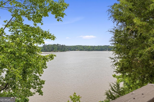 water view featuring a forest view