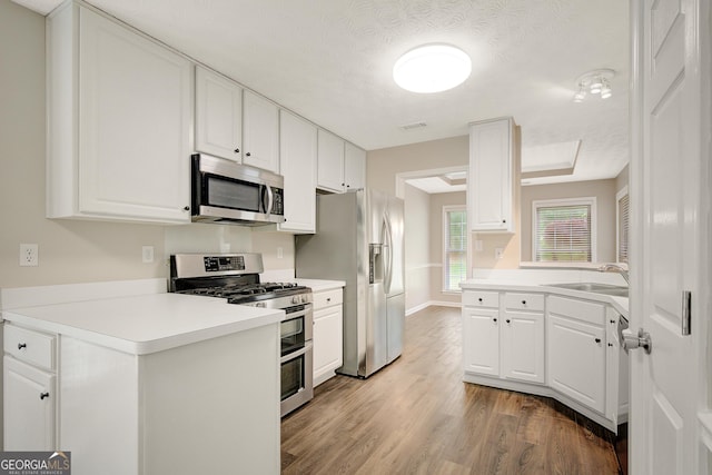 kitchen with wood finished floors, a sink, a peninsula, stainless steel appliances, and white cabinetry