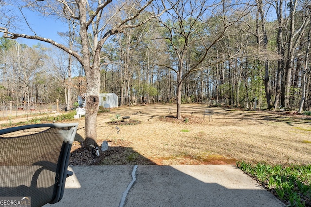 view of yard with an outdoor structure, a shed, and a patio
