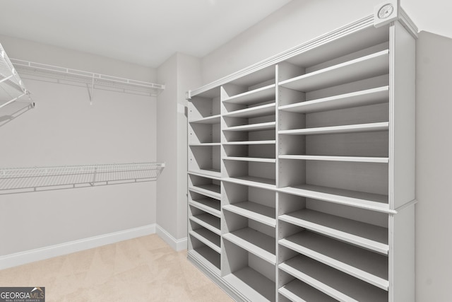 spacious closet featuring carpet floors
