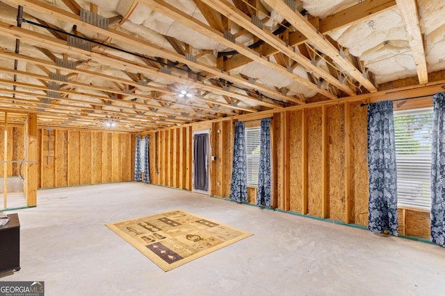 basement with a garage