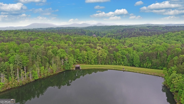 76 Periwinkle Ln, Cleveland, GA 30528 - aerial view with a water and mountain view and a view of trees