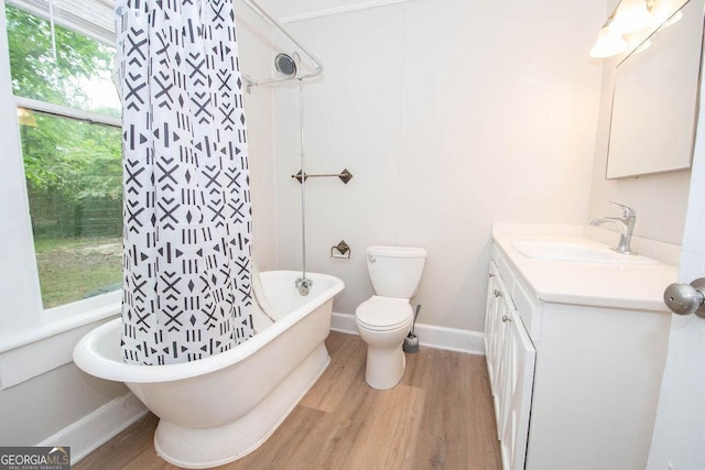 bathroom featuring vanity, baseboards, toilet, and wood finished floors