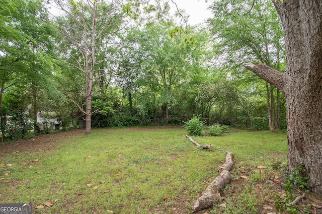 view of yard with a forest view