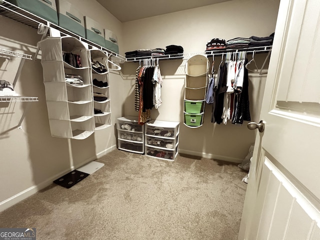 517 Starbuck Pkwy, Pendergrass, GA 30567 - walk in closet with carpet floors
