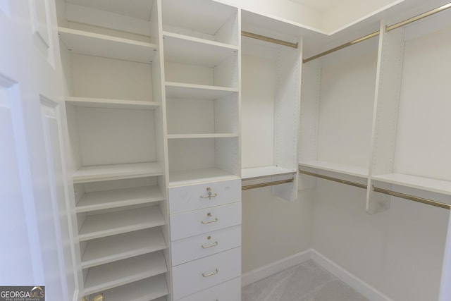 5685 Commons Ln, Alpharetta, GA 30005 - view of spacious closet
