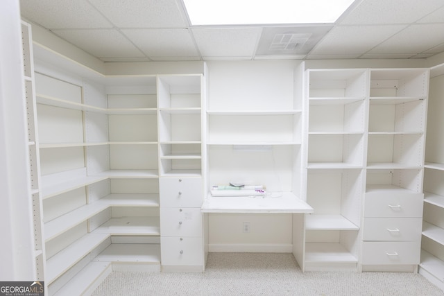 5685 Commons Ln, Alpharetta, GA 30005 - walk in closet with carpet flooring, visible vents, and a paneled ceiling