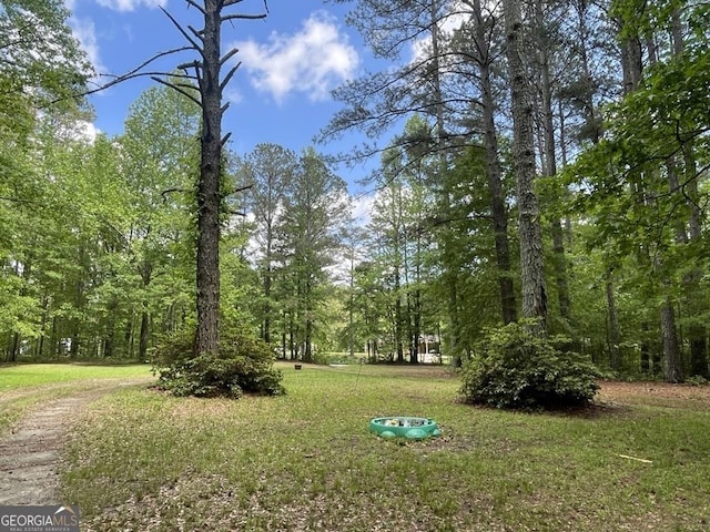view of yard with a wooded view